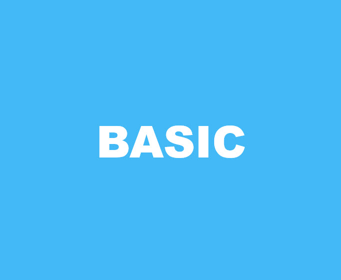 BaS WebShop BASIC BaS WebShop BASIC